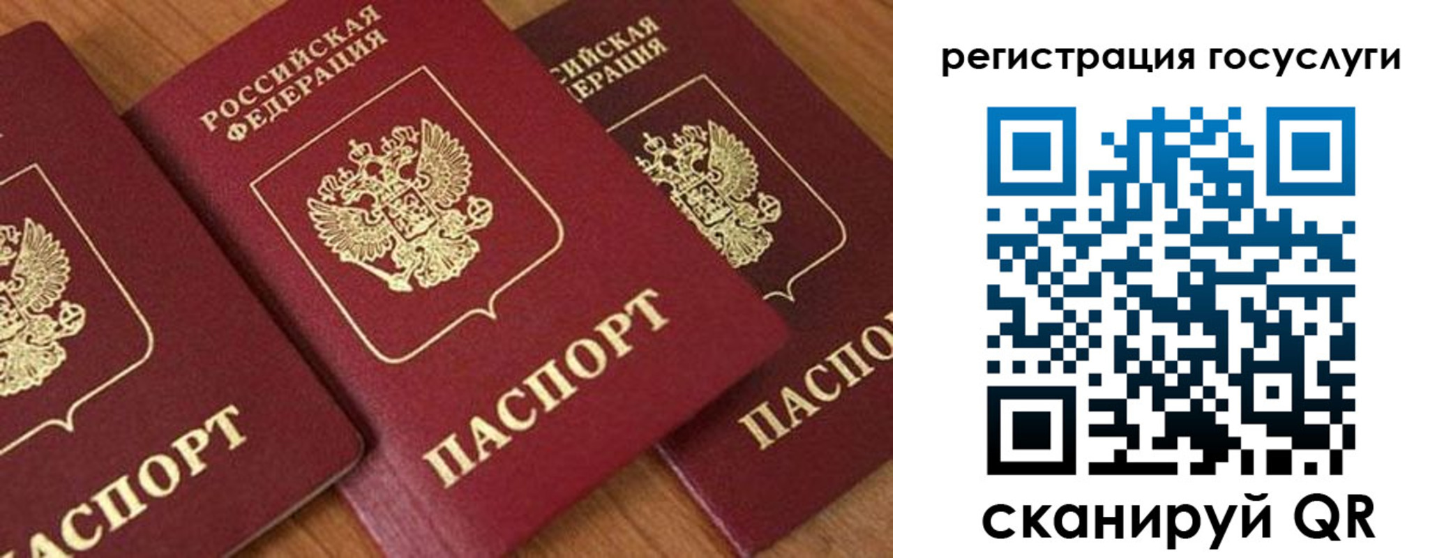 временная регистрация гарантия в Гвардейске